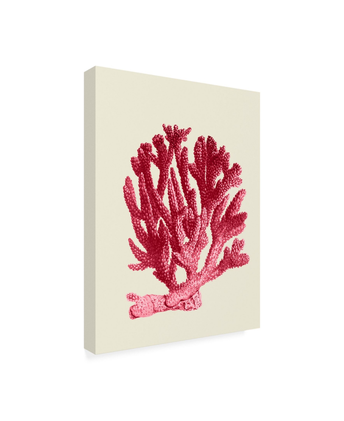 Fab Funky Red Corals 1 a Canvas Art -