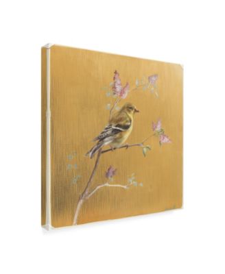 Danhui Nai Female Goldfinch on Gold Canvas Art - 15.5" x 21"