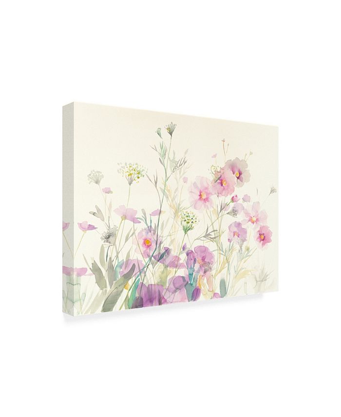 Trademark Global Danhui Nai Queen Annes Lace and Cosmos Painting Canvas ...