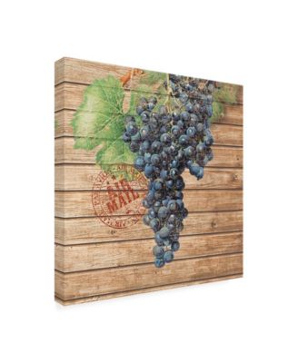 Trademark Global Nobleworks Inc. Grape Crate I Canvas Art - 15.5" x 21"