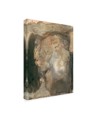 Trademark Global Joyce Combs Ancient Rock II Canvas Art - 36.5" x 48"