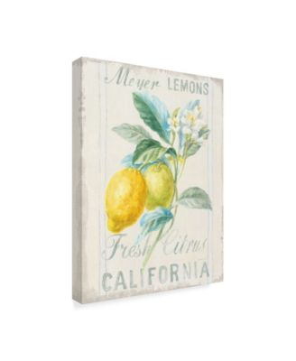 Danhui Nai Floursack Lemon II Canvas Art - 20" x 25"