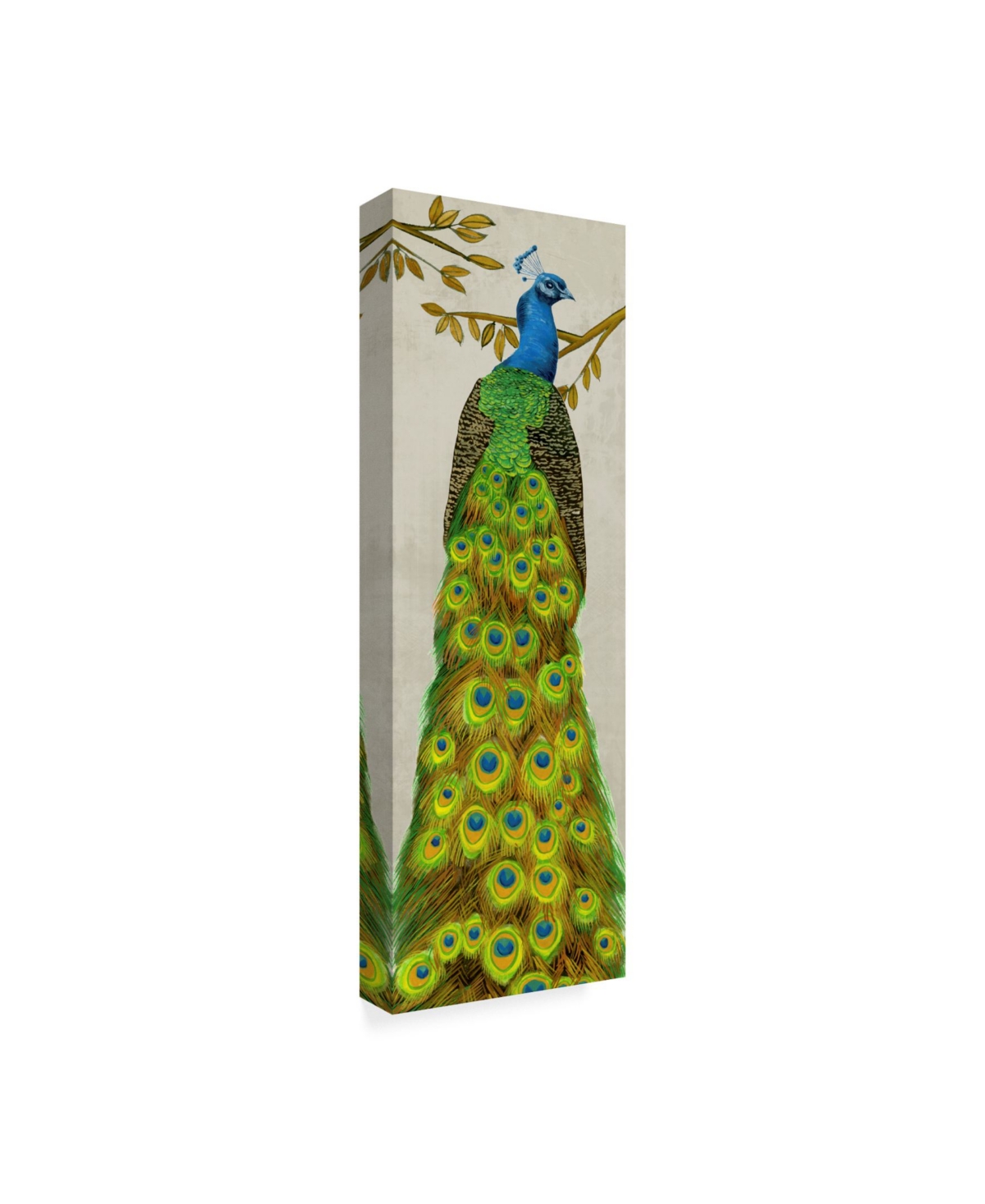 Melissa Wang Vintage Peacock I Canvas Art -