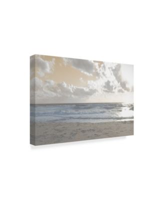 Sharon Chandler Serene Sea 3 Canvas Art - 37" x 49"