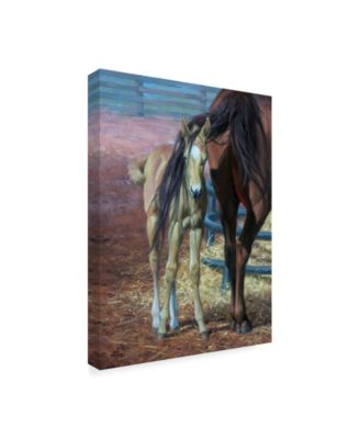 Jack Sorenson Horses Bad Hair Day Canvas Art - 15" x 20"