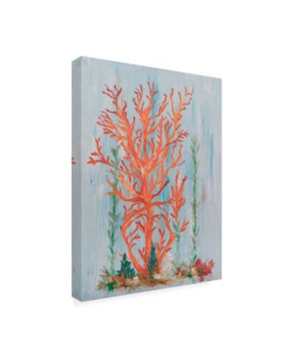 Trademark Global Olivia Brewington Painterly Coral II Canvas Art - 15" x 20"