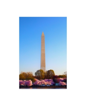 Trademark Global Mitch Catanzaro Washington Monument Under Light Canvas Art In Multi