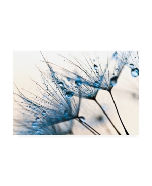 Trademark Global Photoinc Studio Mystic Blue Canvas Art In Multi