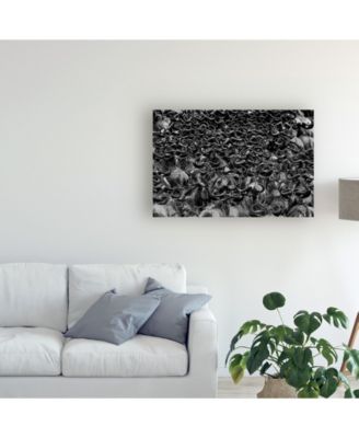 Trademark Global Jun Zuo Wildebeest in Crossing Canvas Art - 37" x 49"