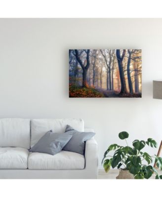 Trademark Global Leif Londal The Forest Path Canvas Art - 37" x 49"