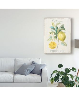 Danhui Nai Floursack Lemon IV Canvas Art - 20" x 25"