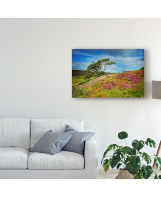 Trademark Global Philippe Sainte-Laudy Time Wont Wait Canvas Art - 20" x 25"