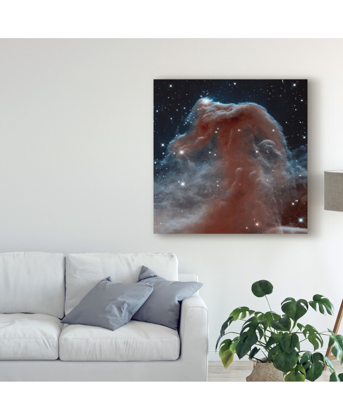 Unknown Space Photography Ix Canvas Art -