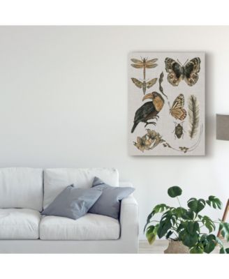 Trademark Global Melissa Wang Nature Studies I Canvas Art - 15" x 20"