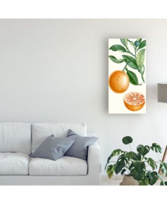 Trademark Global Turpin Turpin Fruit II Canvas Art - 20" x 25"