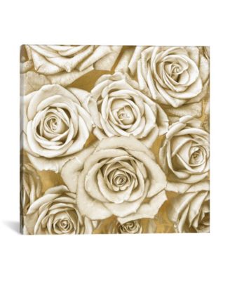 Ivory Roses On Gold by Kate Bennett Wrapped Canvas Print - 18" x 18"