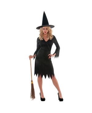 Amscan Wicked Witch Adult Women's Costume