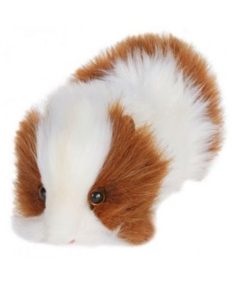 hansa guinea pig