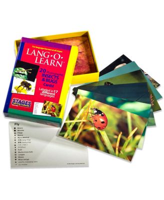 Stages Learning Materials Lang-o-Learn Esl Vocabulary Cards Flashcards, Insects Bugs