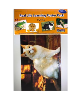Stages Learning Materials Real Photo Pets Poster Set