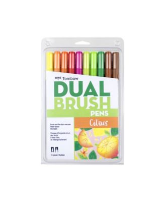Tombow Dual Brush Pen Art Markers, Citrus, 10-Pack