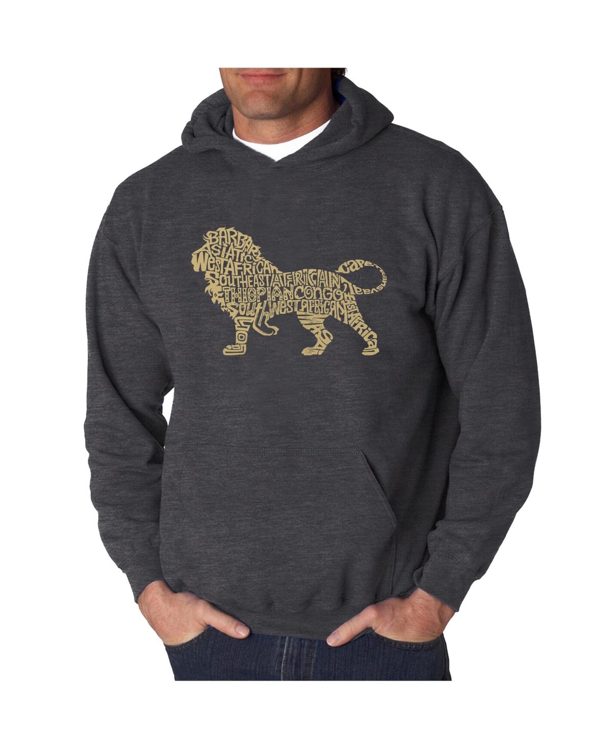 La Pop Art Men's Word Art Hoodie - Lion