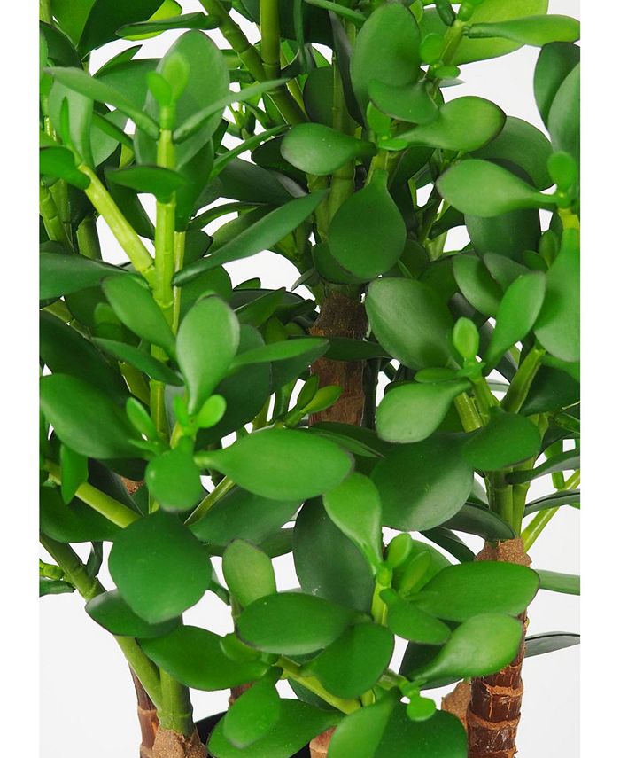 Le Present Artificial Plants Jade Plant Crassula 32" Macy's