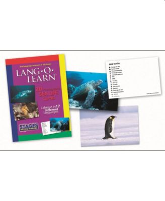 Stages Learning Materials Lang-o-Learn Esl Sea Life Vocabulary Cards Flashcards