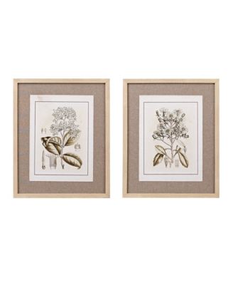Martha Stewart Collection - Tinted Botanical Set Single Linen Mat Framed Graphic 2-Pc Set