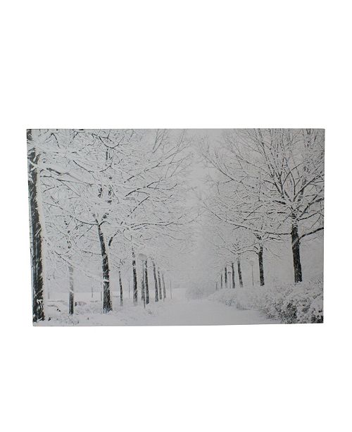 Northlight Fiber Optic Lighted Snowfall Winter Lane Christmas