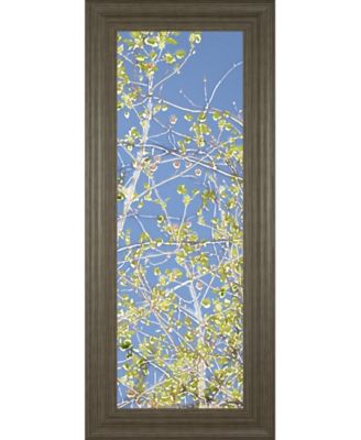 Spring Poplars III by Sharon Chandler Framed Print Wall Art - 18" x 42"