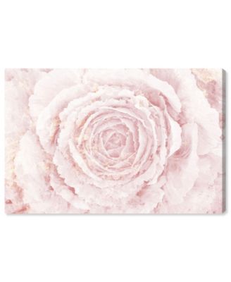 Blush Winter Flower Pink Canvas Art - 24