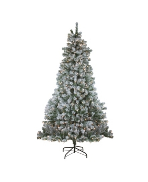 Northlight 65' Pre-Lit Flocked Winema Pine Artificial Christmas Tree - Clear Lights