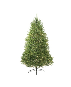 Northlight 10' Pre-Lit Northern Pine Full Artificial Christmas Tree - Clear Lights