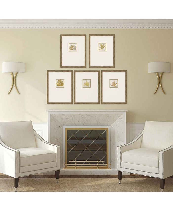 Paragon Picture Gallery Paragon Morphologies Framed Wall Art Set of 5