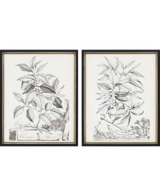 Paragon Picture Gallery