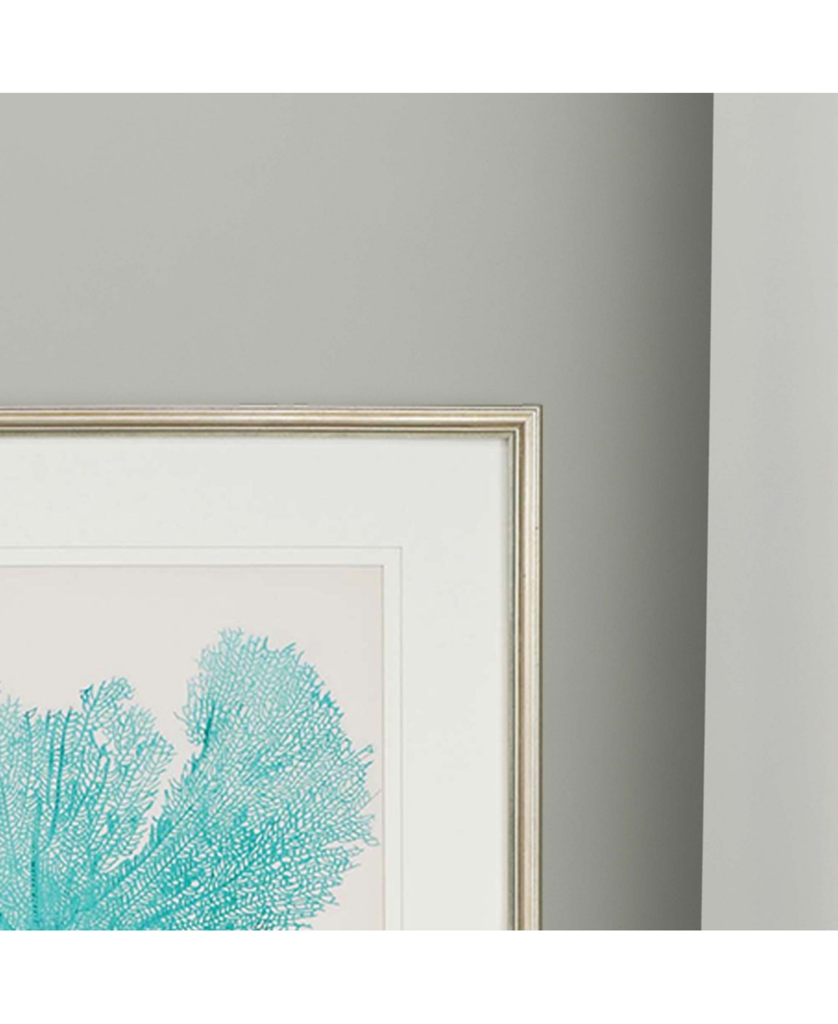 Paragon Sea Fan Ii Framed Wall Art Set of 3, 25