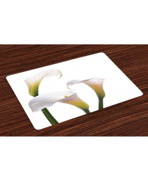 Ambesonne Flower Place Mats Set of 4