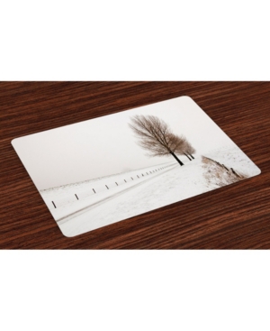 Ambesonne Rustic Place Mats Set of 4