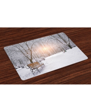 Ambesonne Winter Place Mats Set of 4