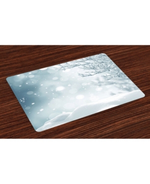 Ambesonne Winter Place Mats Set of 4