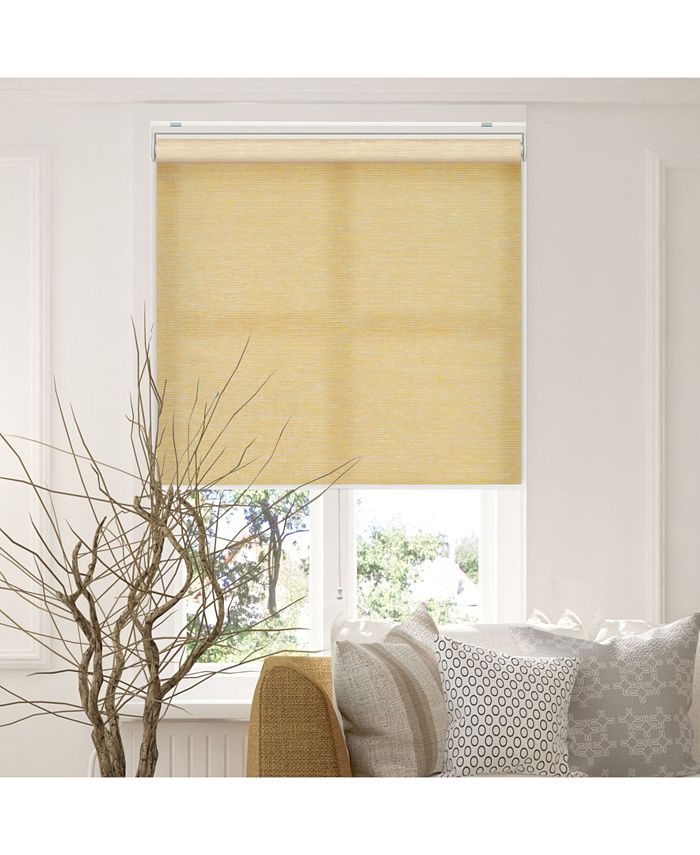 Chicology Cordless Roller Shades, Smooth Privacy Window Blind, 48" W x