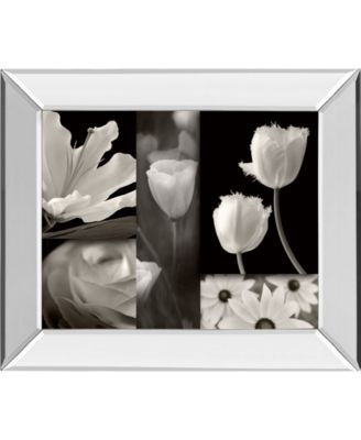 Classy Art Summer Garden II by Dennis Frates Mirror Framed Print Wall Art, 22" x 26"