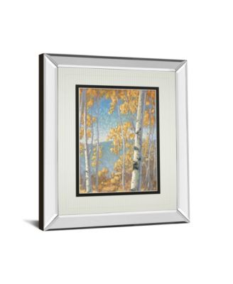 Honey Birch II by John Macnab Mirror Framed Print Wall Art, 34" x 40"