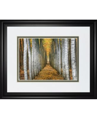 Classy Art Tree Farm by Cahill Framed Print Wall Art, 34