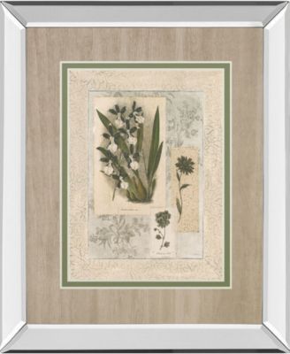 Histoire Du Orchid VI by Carney Mirror Framed Print Wall Art, 34" x 40"
