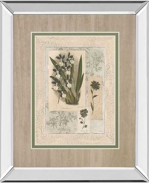 Classy Art Histoire Du Orchid Vi By Carney Mirror Framed Print