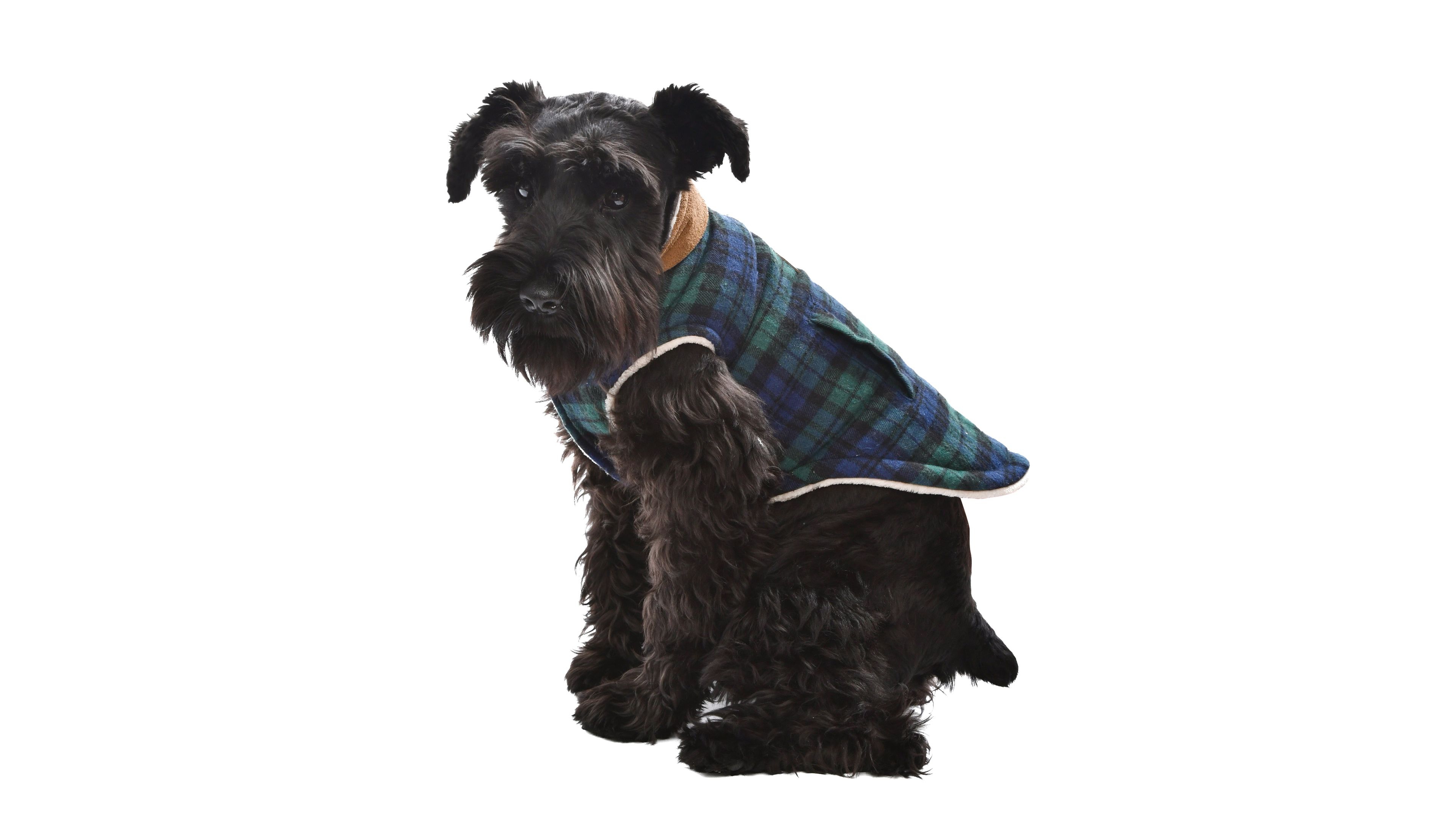 Parisian Pet Scottish Jacket Green Plaid