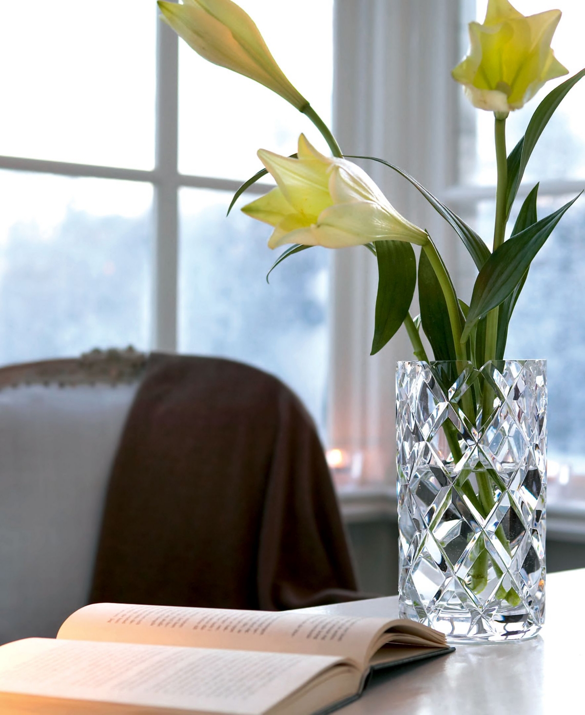 Orrefors Sofiero Vase In No Color