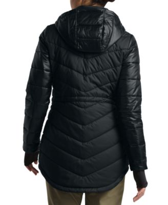 north face shiny jacket